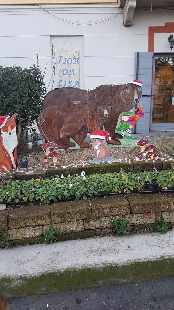 Luna Blu Di Bassetti Laura Photos 2